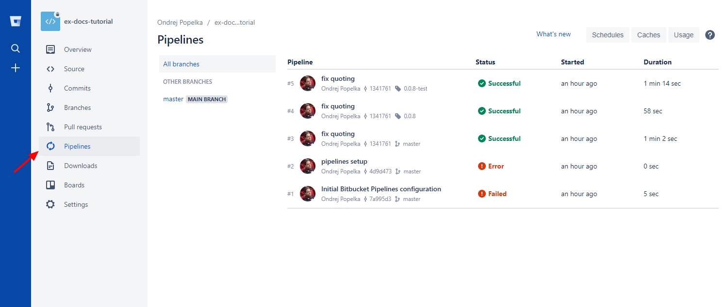 Screenshot -- Bitbucket Build